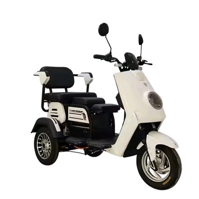 Bicicletă electrică cu 3 roți pentru adulți