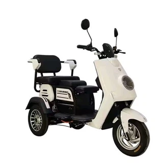 Bicicletă electrică cu 3 roți pentru adulți